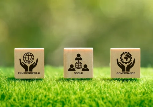Environmental, Social, and Governance (ESG) Compliance Masterclass