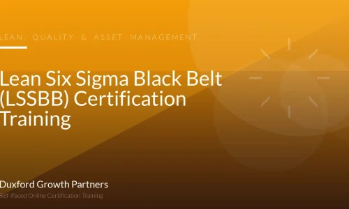 Lean Six Sigma Black Belt (LSSBB) Certification Training