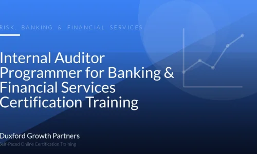 Internal Auditor Programmer for Banking & Financial Services Certification Training